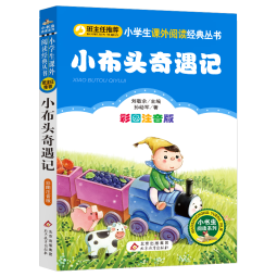 小布头奇遇记 儿童文学 注音版 一二三年级小学生课外阅读经典丛书 小书虫阅读系列