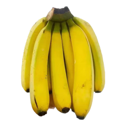 广东超甜香蕉青香蕉发货放熟吃雯婷新鲜水果 净重5斤礼盒装