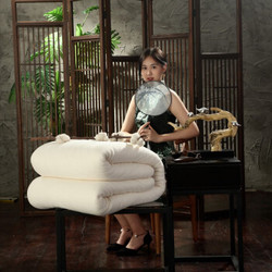 暖爱季：千丝雪 新疆棉花被 200*230-6斤