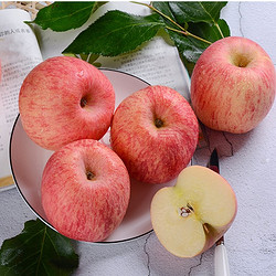 古寨山烟台栖霞红富士苹果80-85mm以上 5斤净重