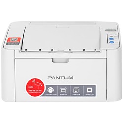 PANTUM 奔图P2206 黑白激光打印机