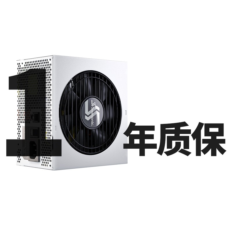 海韵 (SEASONIC)FOCUS GX1000 White白色限定版1000W电源 白色压纹线 80PLUS金牌全模 10年质保 全日系电容