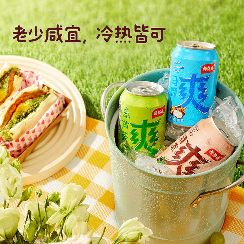 杨协成 清凉爽 300ml*6罐 新加坡品牌 含仙草冻 果肉果粒植物饮料 清凉茶