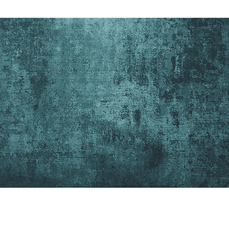 布迪思 地毯客厅 地毯卧室 茶几沙发地毯 可定制 北欧 简约 现代 满铺 加厚短绒防滑垫 深色海底世界 140*200cm小客厅
