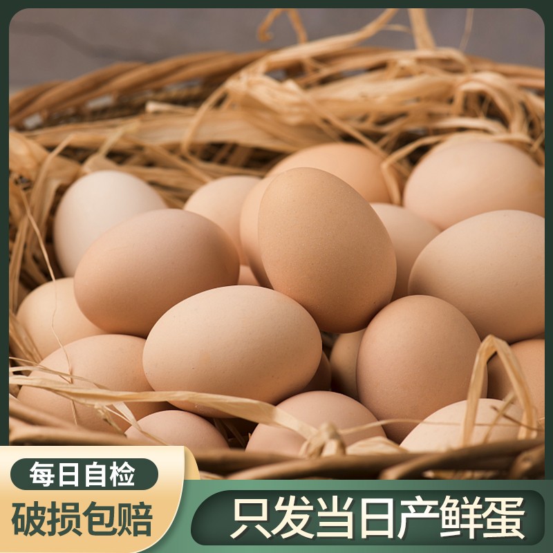 堆草堆 堆草堆 6枚装鲜鸡蛋 210g-252g 健康轻食 天然谷物饲养