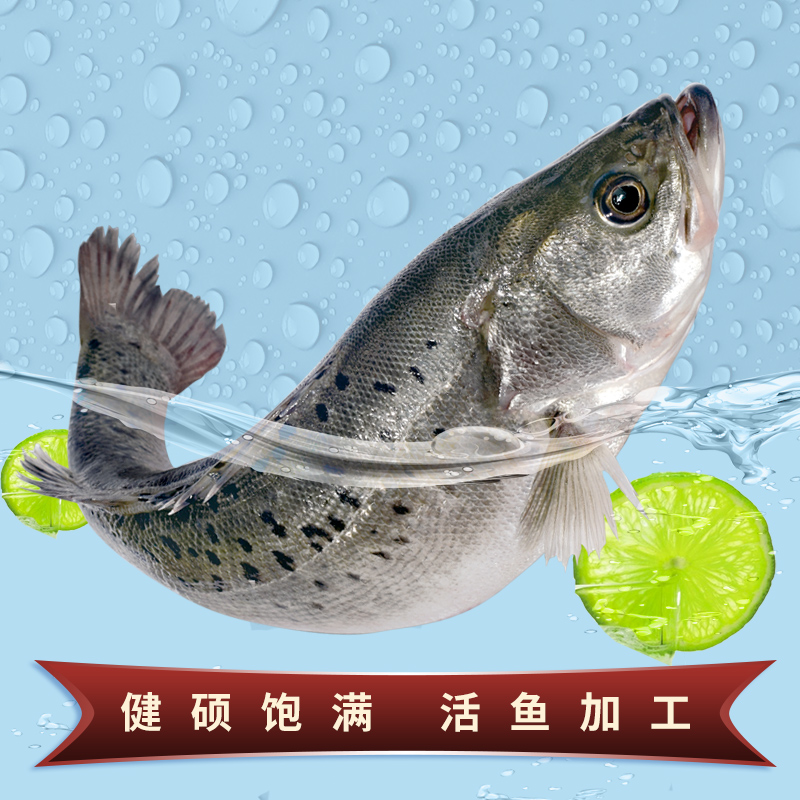 速鲜（SuXian） 三去开背白蕉海鲈鱼350-400g1条生鲜冷冻鱼类海鲜去鳃去鳞去内脏净鱼