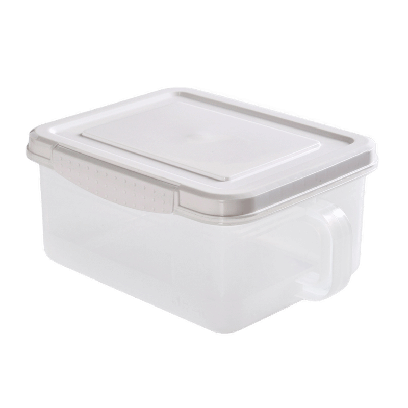 百露 冰箱收纳盒带把手冷冻整理盒储物盒分类密封保鲜盒厨房塑料用盒子 绿色2个装