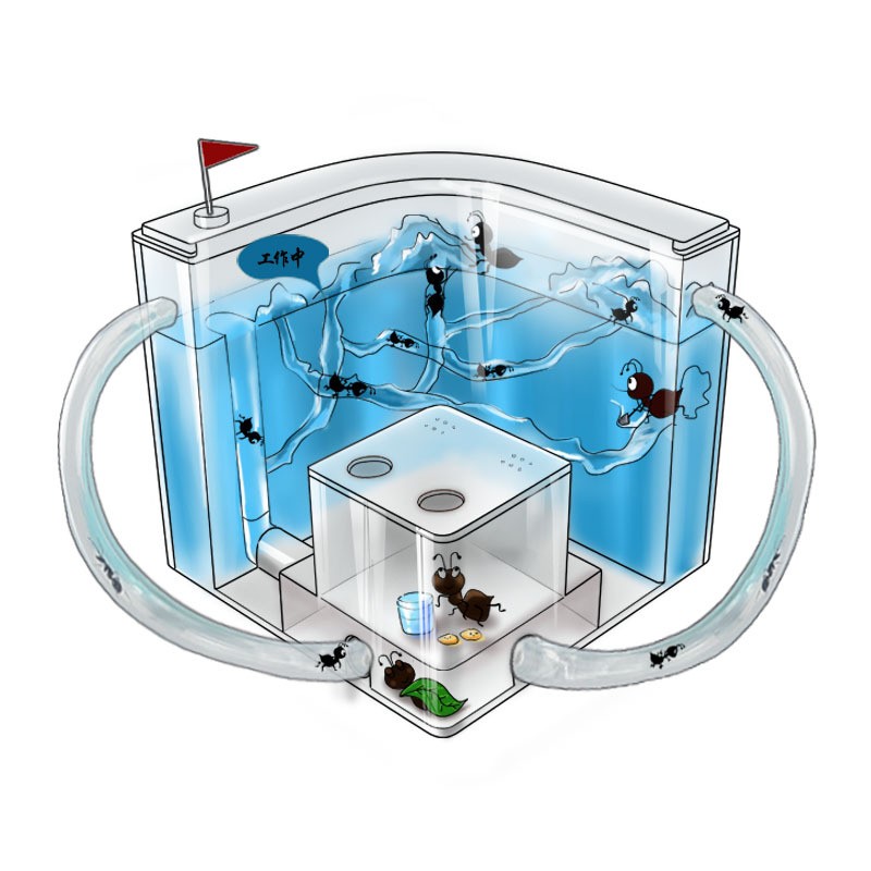 享再玩 夜光蚂蚁工坊 动植物家园 【白色】+20只蚂蚁+小草+放大镜+滴管 夜光底座