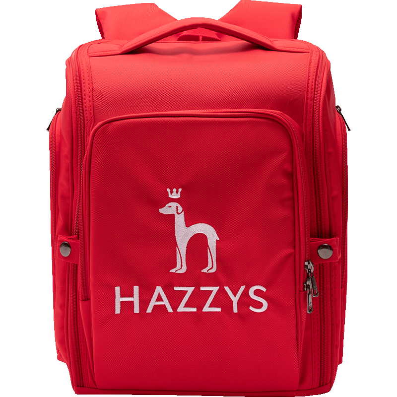 HAZZYS哈吉斯童装女童双肩背包儿童双肩包背包书包大容量孩子上学书包 经典红 双肩包