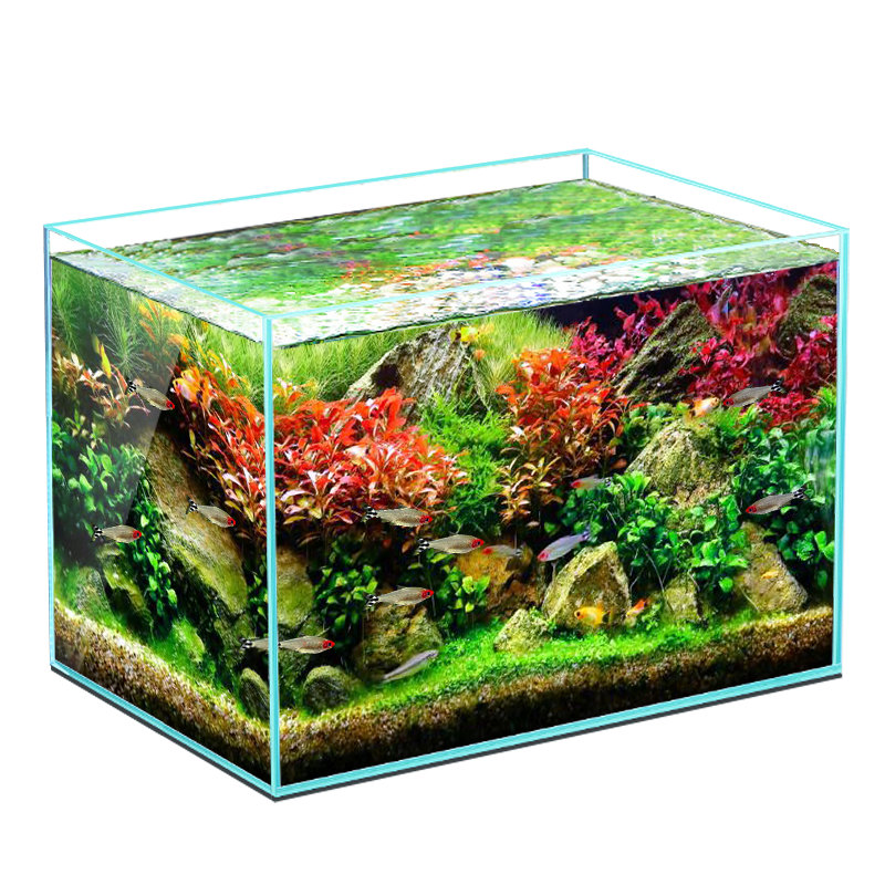 YEE桌面超白玻璃小鱼缸迷你生态造景方形鱼缸水族箱客厅小型金鱼缸 18cm超白标准套餐
