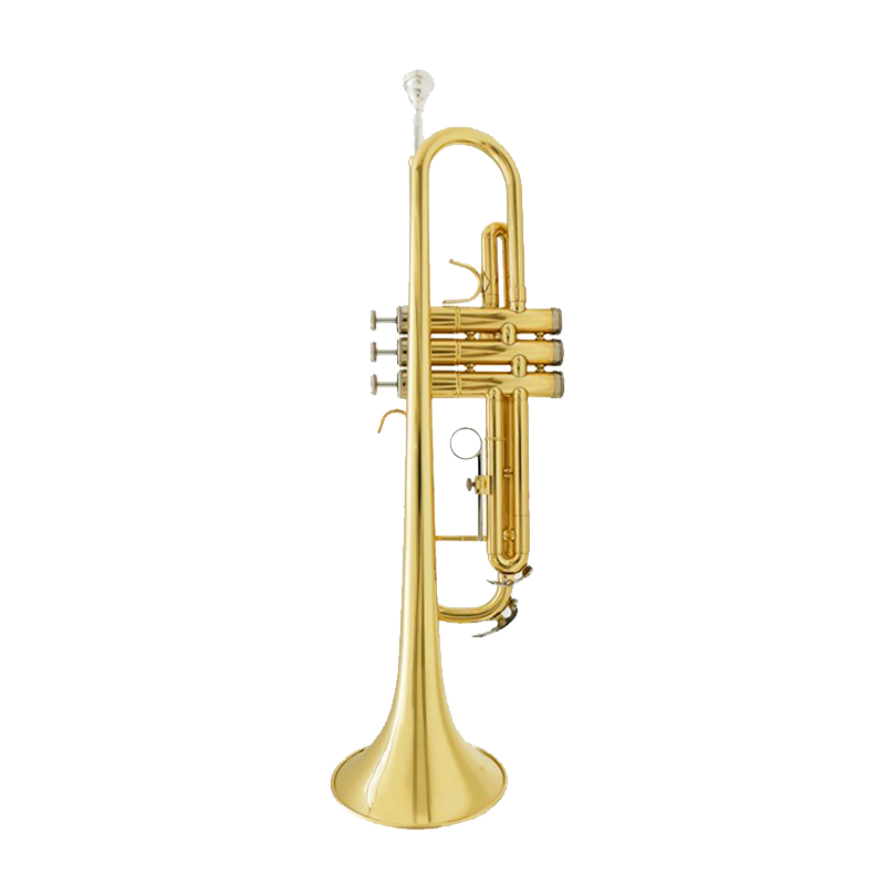 津宝JBTR-300小号乐器降B调儿童初学学生演奏考级漆金西洋吹管乐器