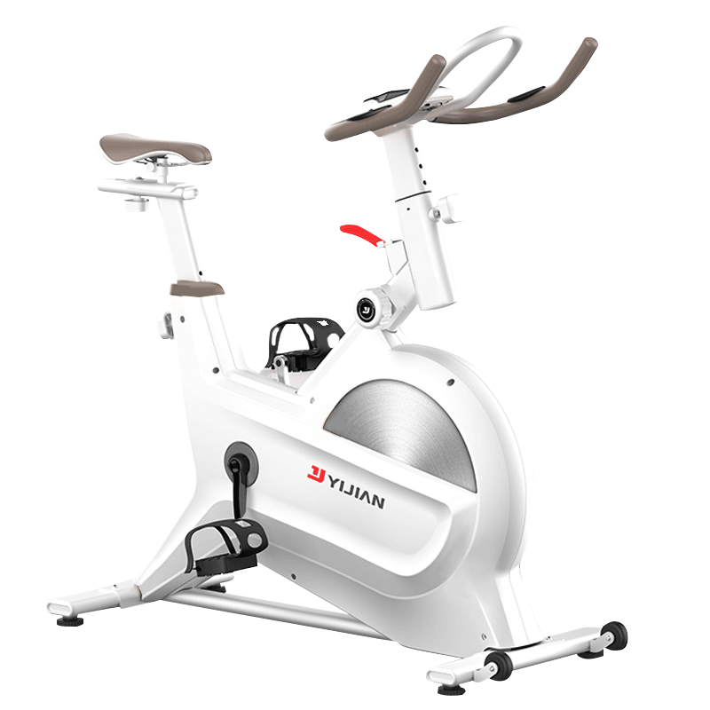 亿健（YIJIAN）动感单车家用健身房减肥健身车磁控单车升级版D8健身器材 【12斤全包飞轮】象牙白