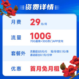 中国电信 手机卡流量卡不限速纯上网卡5g低月租梅花电话卡号码卡纯流量 木棉卡29元月租100G