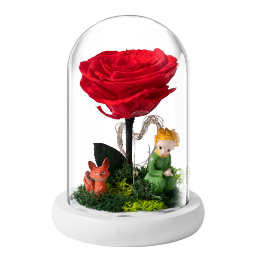 JoyFlower小王子的玫瑰花鲜永生花礼盒三八妇女神节生日礼物送女友女生朋友