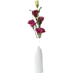 赛可优 天然真花花束尤加利玫瑰干花花束ins装饰摆件洋桔梗 洋桔梗花束+花瓶