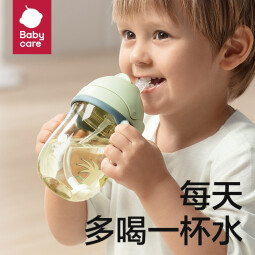 babycare学饮杯婴儿1-3岁防漏带重力球婴儿水杯宝宝水杯 【吸管-tritan】淡藻绿-240ml