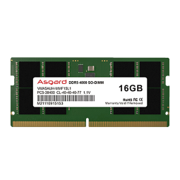 阿斯加特（Asgard）16GB DDR5 4800 笔记本内存条