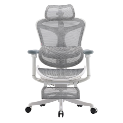 西昊Doro S300人体工学电脑椅 家用办公椅椅子久坐舒服 电竞椅老板椅 