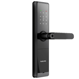 凯迪仕（KAADAS）F1智能锁指纹锁防盗门入户门密码锁智能门锁电子锁手机远程控制 F300-曜石黑 七仓速发+免费安装