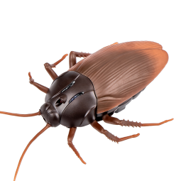 Delectation抖音遥控蟑螂玩具小强仿真电动小虫子假昆虫创意礼物整蛊道具恶搞 棕色蟑螂9916+6粒电子 官方标配+螺丝刀