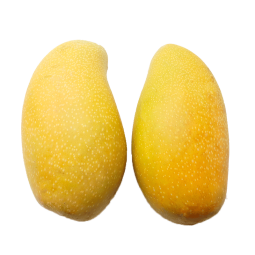 枝头春【需催熟食用】海南金煌芒芒果新鲜水果当季送礼礼盒热带水果带箱 8斤大果400g+