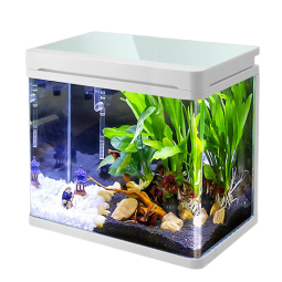 淘歌（TG） 鱼缸水族箱免换水桌面鱼缸金鱼缸客厅生态鱼缸客厅小型水草玻璃鱼缸 白色T30（30.6*21.3*35cm）