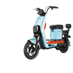 宝岛电动车新国标成人电动自行车男女式电瓶车48V超长续航锂电池电单车 标准版慕斯银配48V20A天能/超威铅酸电池