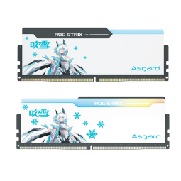 阿斯加特（Asgard）32GB(16GBx2)套 DDR5 6400 台式机内存 RGB灯条-吹雪联名款【CL32】