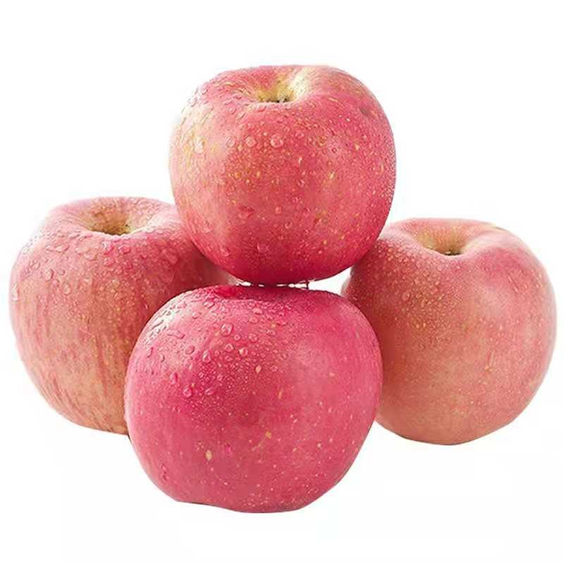应季现摘冰糖苹果红富士平安夜水果新鲜当季苹果整箱交割果冰糖心