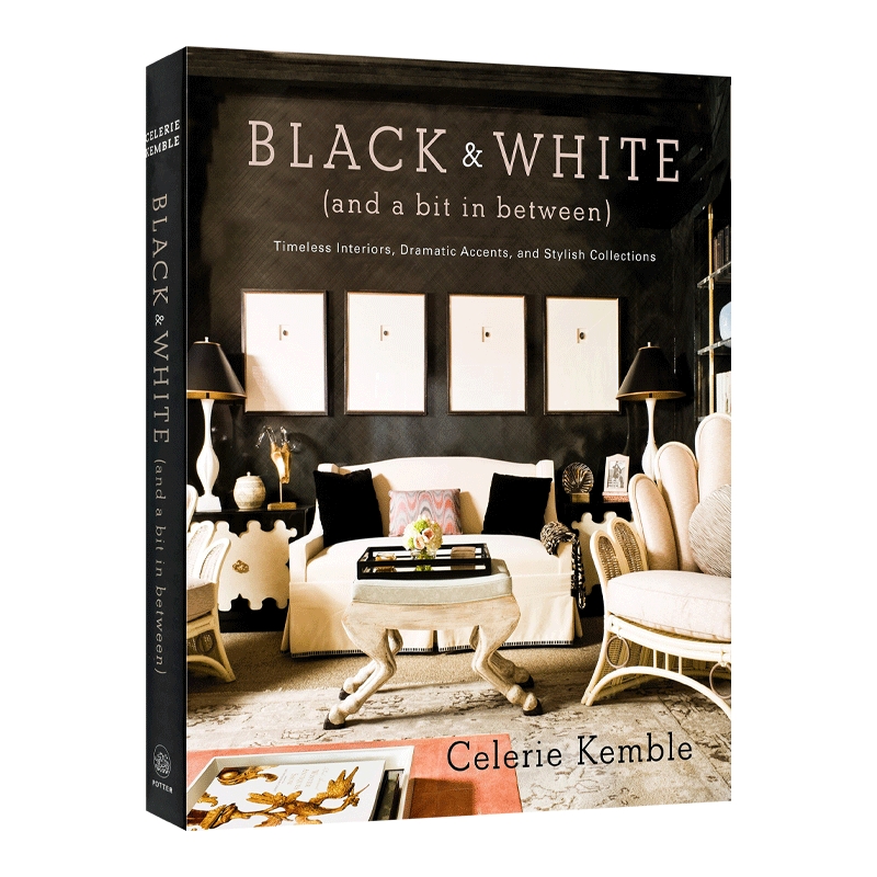 英文原版 Black and White and a Bit in Between 黑色和白色 以及两者之间 永恒的内饰 戏剧性的口音和时尚系列 进口英语原版书籍