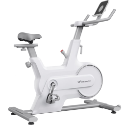 麦瑞克（MERACH）动感单车家用磁控静音智能运动健身器材室内脚踏自行车 绝影CC 手动调阻-燃脂直播课-白色