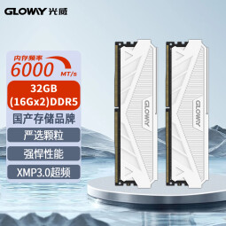 光威（Gloway）32GB(16GBx2)套装 DDR5 6000 台式机内存条 天策系列 助力AI 