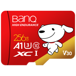 banq&JOY联名款 256GB TF（MicroSD）存储卡U3 C10 A1 V30 4K 高速款行车记录仪&监控摄像头手机内存卡