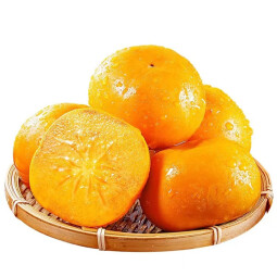 采缇脆柿子陕西阳丰脆甜硬柿子巧克力脆柿新鲜水果 4.51斤 -5斤