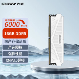 光威（Gloway）16GB DDR5 6000 台式机内存条 天策系列 XMP&EXPO 适配黑神话悟空