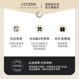 西铁城（CITIZEN）手表 光动能女士学生防水时尚潮流钢带情人节礼物 EM0533-82Y