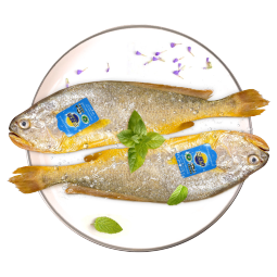 三都港冷冻宁德大黄鱼700g/2条装 黄花鱼 生鲜鱼类 深海鱼 海鲜水产
