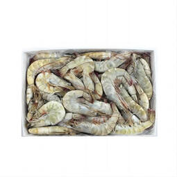 原装进口王牌盐冻南美白虾大虾 1.5kg 烧烤火锅食材 4050规格 1.5kg(净重)  约60-75只 1.5kg/盒
