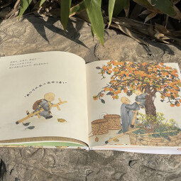 柿柿如意 幼儿图书 绘本 早教书 儿童书籍 图书 