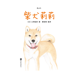 柴犬莉莉