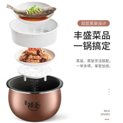 苏泊尔（SUPOR）电饭煲球釜5升大容量IH电磁加热24小时智能预约电饭煲电饭锅家用5-8-10个人多功能煮饭锅煮粥柴火 SF50HC750 5L 