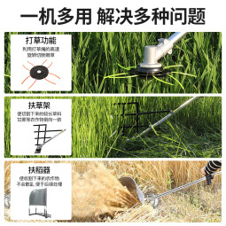 达瓦（DAWA）德国动力技术割草机除草机打草机四冲程汽油机水稻收割机电动农具 背负式整机+豪华大礼包