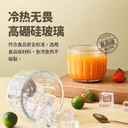 浦利顿浦利顿(PLODON)婴儿辅食机多功能辅食料理机 白13 小白熊辅食机单杯 6叶刀头 防飞溅