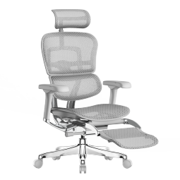 Ergonor保友金豪e 2代高端人体工学椅 电脑椅子 办公椅家用电竞椅老板椅 银白美国网+躺舒宝 整椅发货 送货上门