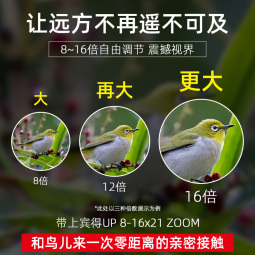 PENTAX日本宾得高倍高清变倍望远镜双筒UP系列变焦外观景观鸟旅游望眼镜 UP 8-16x21 黑色 8倍-16倍可调节