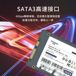 梵想（FANXIANG） SSD固态硬盘 笔记本台式机硬盘 SATA3.0接口 高兼容FP325系列 2T【Q-电竞版 高性能】
