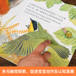 乐乐趣小兔比利触摸书 0-3岁幼儿早教启蒙绘本机关推拉故事图书儿童礼物 官方正版 【触摸书】小兔比利【加厚升级版】