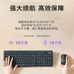 罗技（Logitech）MK295无线静音键盘鼠标套装台式电脑笔记本家用办公带2.4G无线接收器即插即用 罗技MK295 黑色