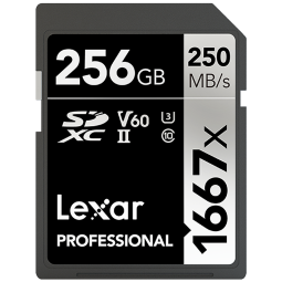 雷克沙（Lexar）256GB SD存储卡 U3 V60 4K数码相机内存卡 读250MB/s 写120MB/s 双排金手指（1667x Pro）