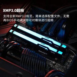 金士顿（Kingston）FURY 16GB(8G×2)套装 DDR5 5200 台式机内存条 Beast野兽系列 RGB灯条 骇客神条